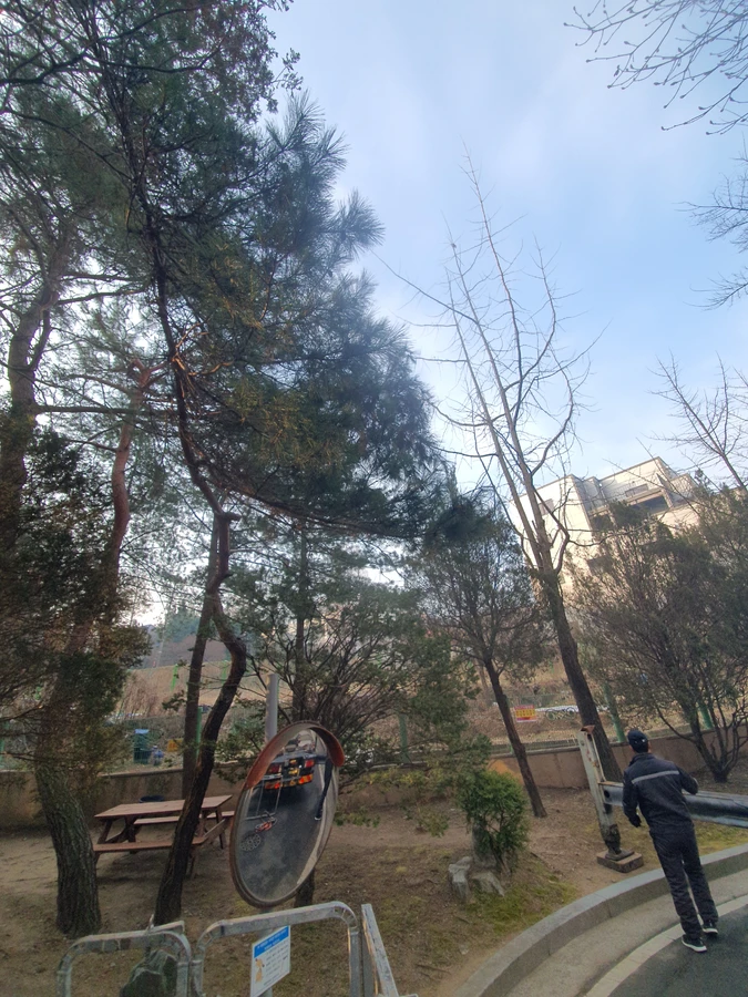 나무가지치기 업체
