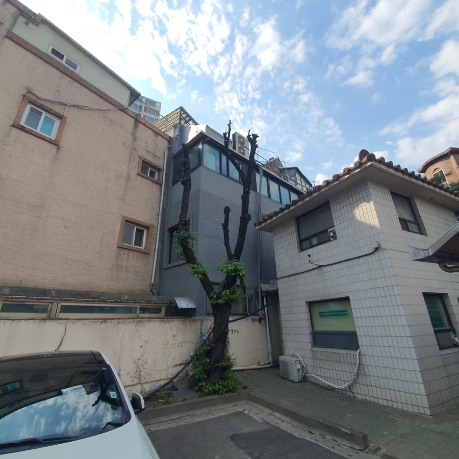 나무가지치기 작업 후 - 단독주택 정원 가지치기