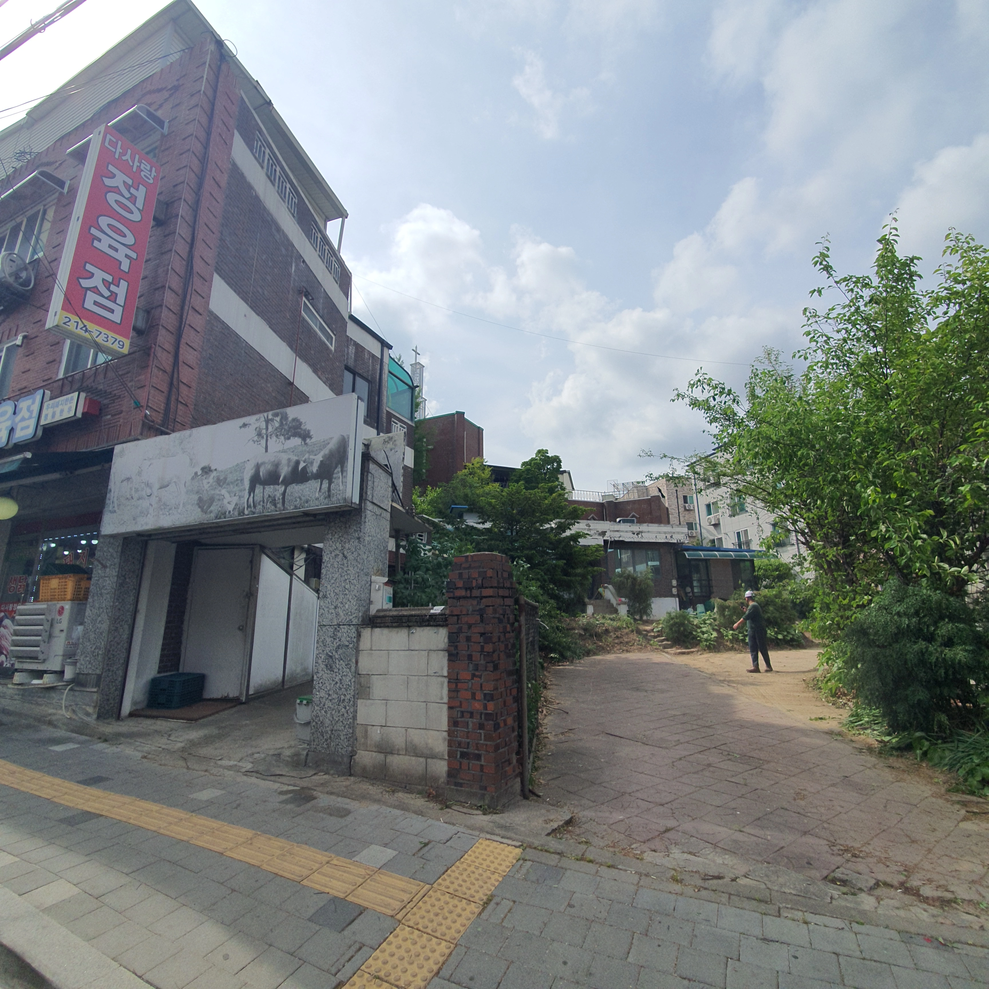 정원 나무 정비 작업