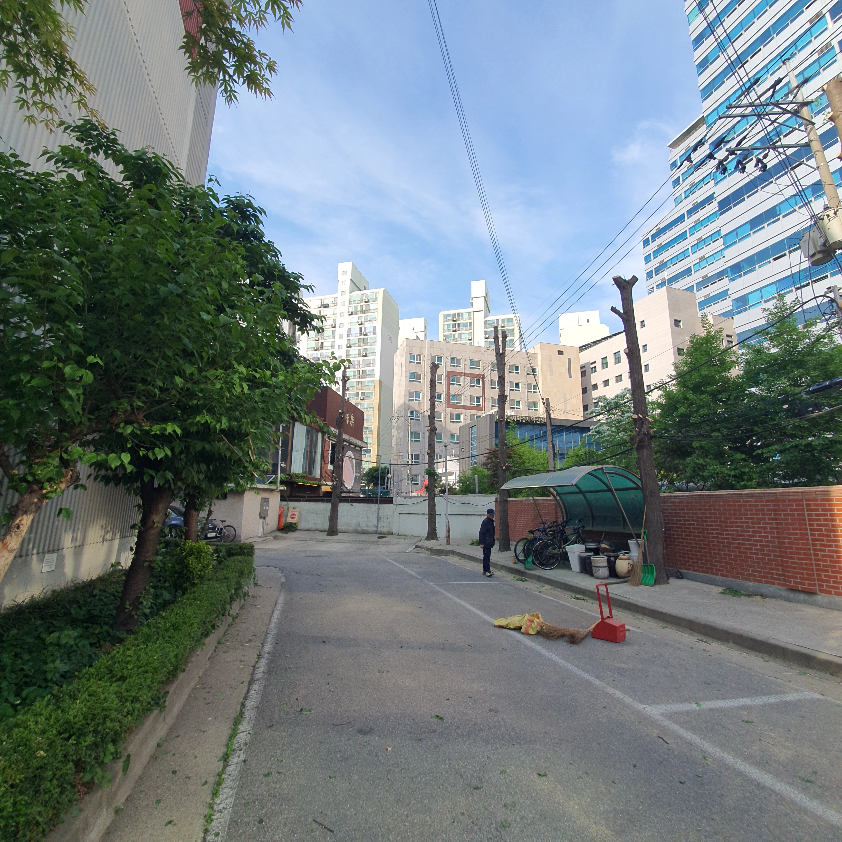 조경 가지치기 시공
